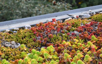 the cost of Widecombe In The Moor green roof installation