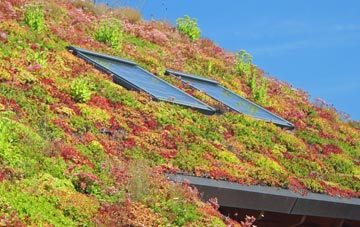 Widecombe In The Moor living roof systems